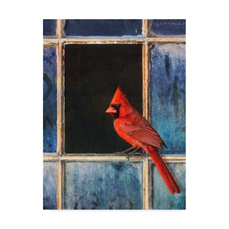 Chris Vest 'Cardinal Window' Canvas Art,18x24
